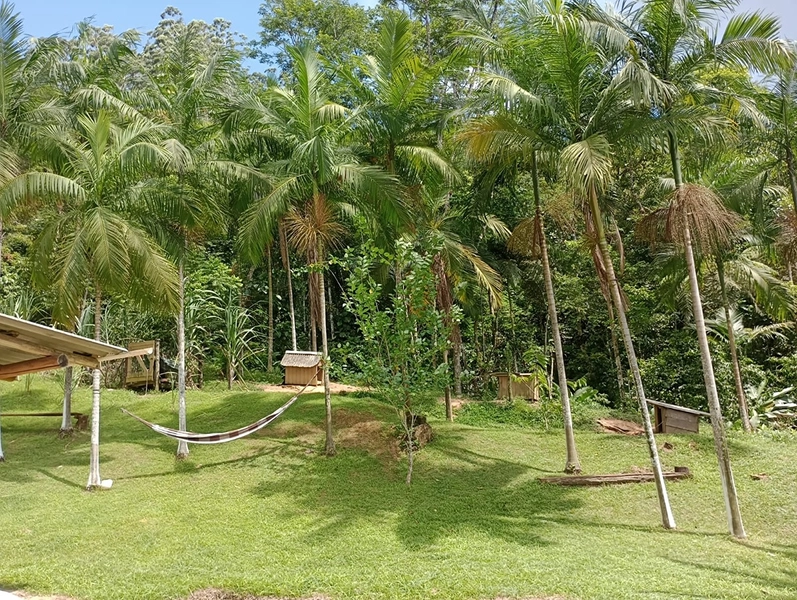 Chácara localizada em area rural em Itapema: 19ª foto da galeria de imagens do imóvel