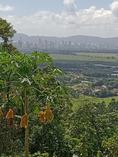 Chácara localizada em area rural em Itapema: 22ª foto da galeria de imagens do imóvel