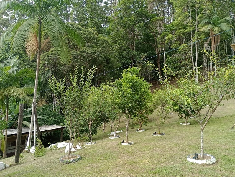 Chácara localizada em area rural em Itapema: 25ª foto da galeria de imagens do imóvel