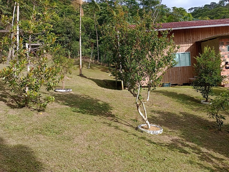 Chácara localizada em area rural em Itapema: 27ª foto da galeria de imagens do imóvel