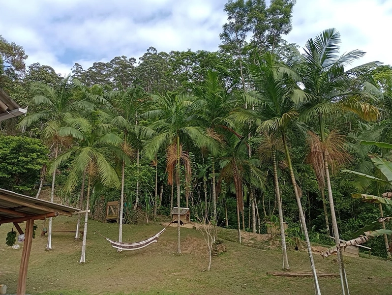 Chácara localizada em area rural em Itapema: 24ª foto da galeria de imagens do imóvel