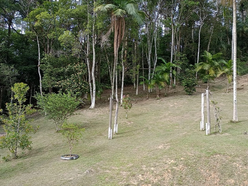 Chácara localizada em area rural em Itapema: 33ª foto da galeria de imagens do imóvel