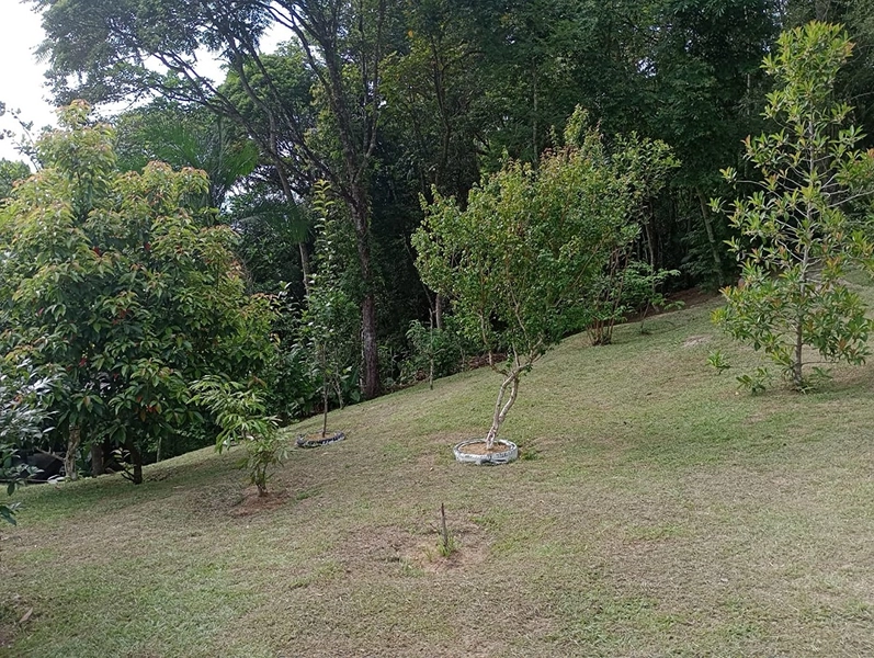 Chácara localizada em area rural em Itapema: 32ª foto da galeria de imagens do imóvel