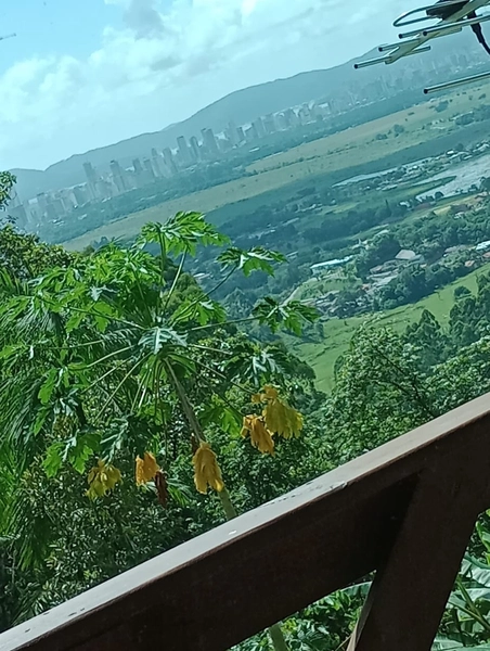 Chácara localizada em area rural em Itapema: 17ª foto da galeria de imagens do imóvel