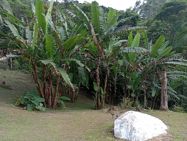 Chácara localizada em area rural em Itapema: 23ª foto da galeria de imagens do imóvel