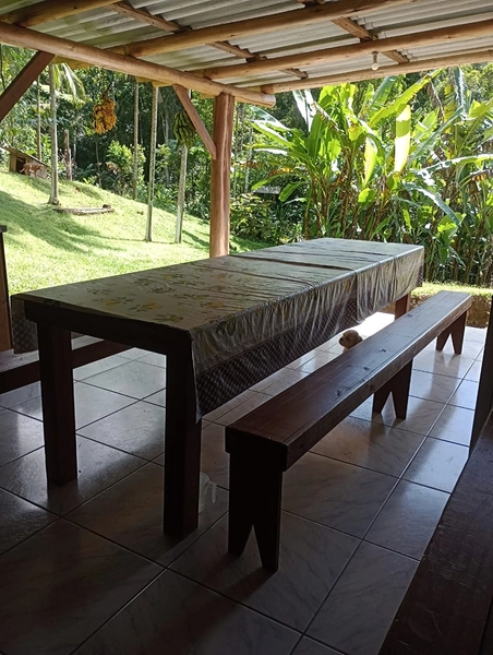 Chácara localizada em area rural em Itapema: 15ª foto da galeria de imagens do imóvel