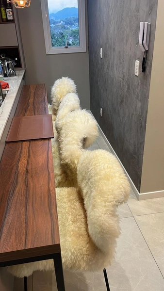 Apartamento em localização privilegiada no centro de Blumenau: 10ª foto da galeria de imagens do imóvel