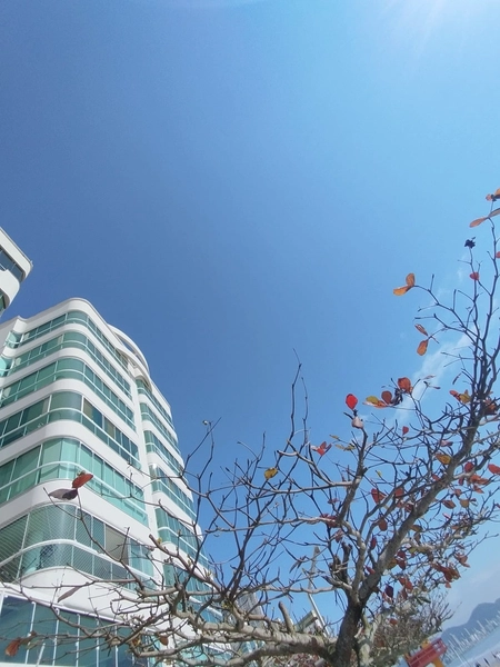 Apartamento Frente mar., 04 dormitórios, 02 vagas.: 57ª foto da galeria de imagens do imóvel