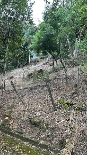 null: 2ª foto da galeria de imagens do imóvel