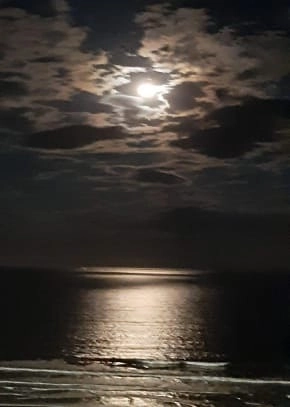 Pronto para morar - Cobertura na melhor localização da Meia Praia.: 30ª foto da galeria de imagens do imóvel
