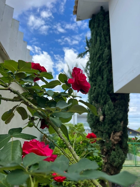 Casa em condomínio fechado: 57ª foto da galeria de imagens do imóvel