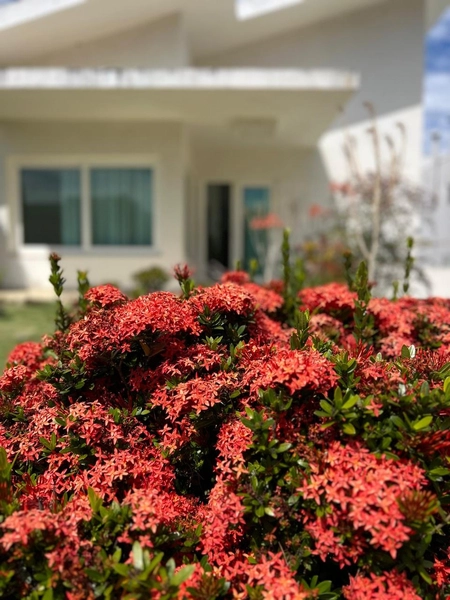 Casa em condomínio fechado: 6ª foto da galeria de imagens do imóvel