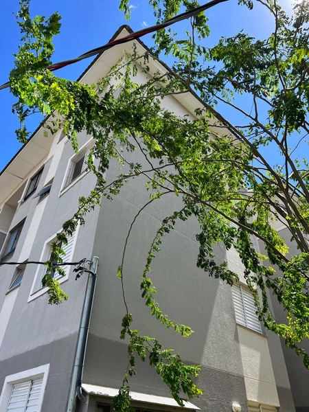 Apartamento com planejados por 190 mil: 4ª foto da galeria de imagens do imóvel