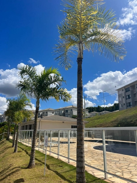 Apartamento com planejados por 190 mil: 22ª foto da galeria de imagens do imóvel