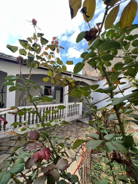 Casa com 3 dormitórios de terreno inteiro por 280 mil: 3ª foto da galeria de imagens do imóvel