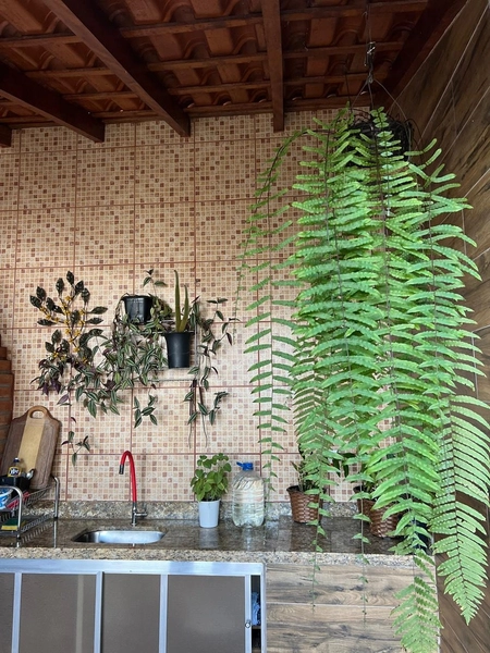 Casa no Jardim Andere com Piscina aquecida, espaço Gourmet e escritório : 29ª foto da galeria de imagens do imóvel
