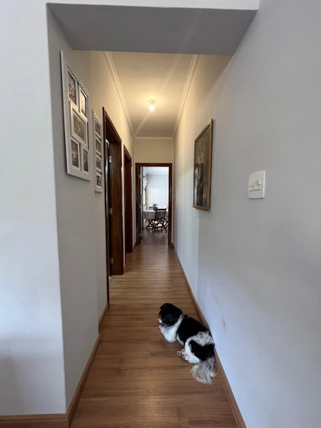 Apartamento reformado na Vila Pinto (tamanho de casa): 21ª foto da galeria de imagens do imóvel