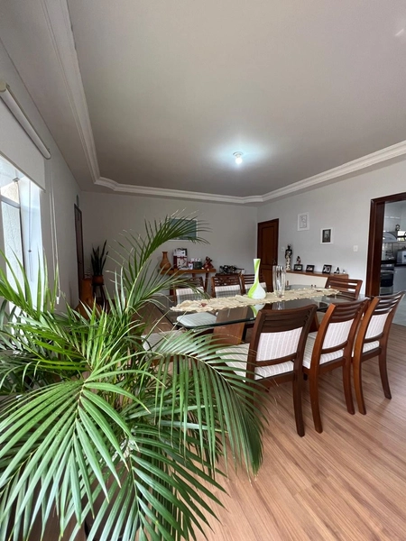Apartamento reformado na Vila Pinto (tamanho de casa): 11ª foto da galeria de imagens do imóvel