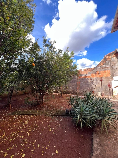 Casa terreno inteiro por 295 mil: 21ª foto da galeria de imagens do imóvel