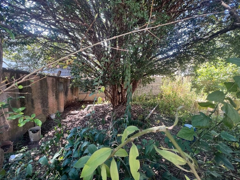 Casa próxima ao shopping por 390 mil: 9ª foto da galeria de imagens do imóvel