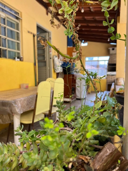 Casa Alta no Bela Vista: 20ª foto da galeria de imagens do imóvel