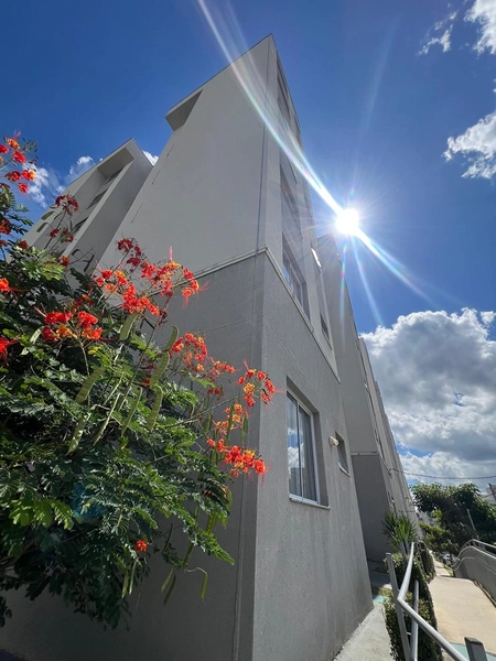 Apartamento na cobertura por 240 mil: 4ª foto da galeria de imagens do imóvel