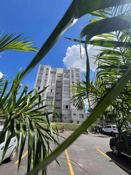 Apartamento na cobertura por 240 mil: 2ª foto da galeria de imagens do imóvel