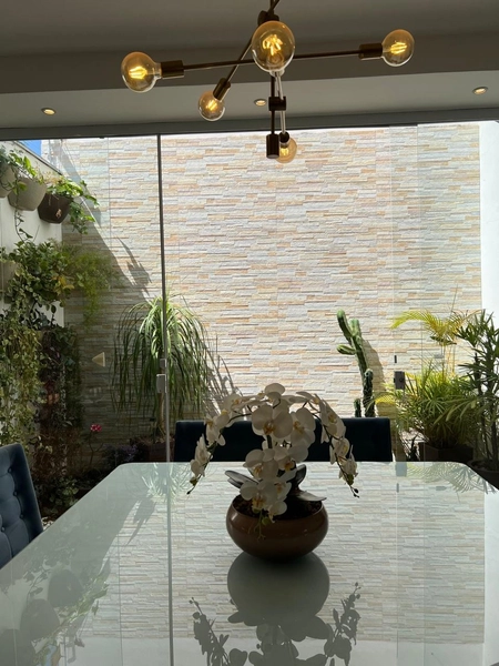 Casa plana com jacuzzi pro 780 mil: 14ª foto da galeria de imagens do imóvel