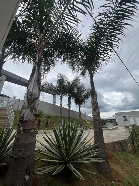 Apartamento todo planejado : 5ª foto da galeria de imagens do imóvel