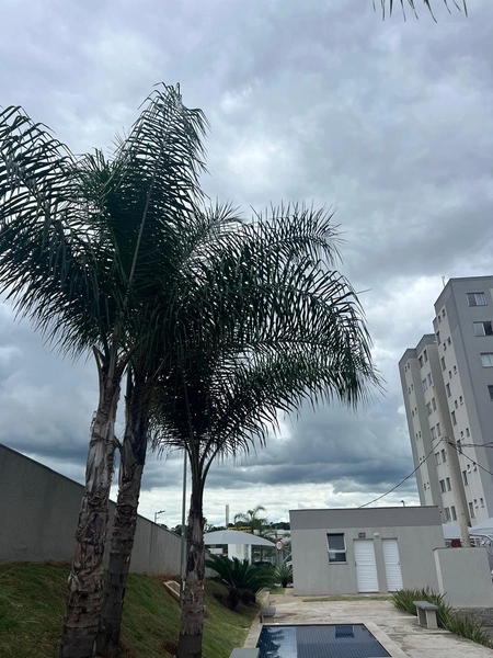 Apartamento todo planejado : 2ª foto da galeria de imagens do imóvel