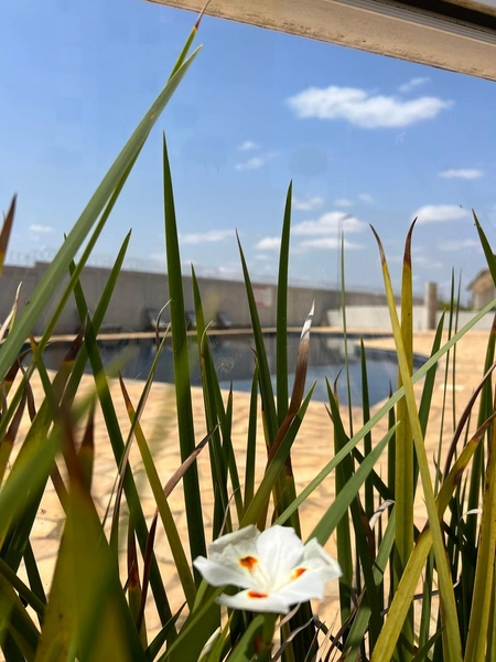 Apartamento próximo ao shopping: 30ª foto da galeria de imagens do imóvel