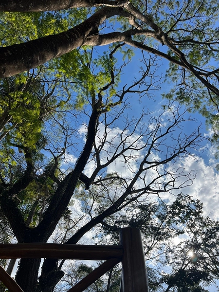 Rancho na Ilha do Sol à beira do rio com deck: 77ª foto da galeria de imagens do imóvel