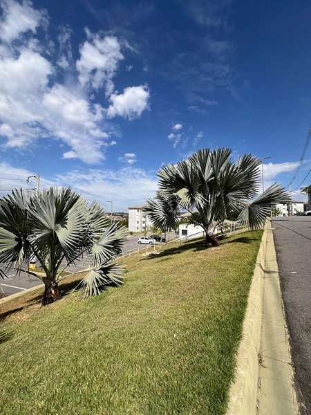 Apartamento por 180 mil.: 16ª foto da galeria de imagens do imóvel
