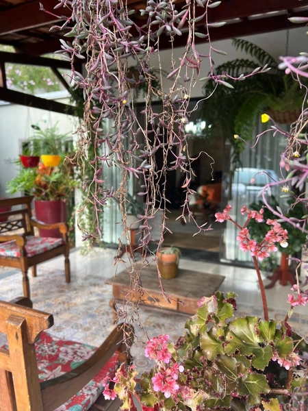 Casa no centro de Caxambu com 2.840 m² de terreno: 21ª foto da galeria de imagens do imóvel