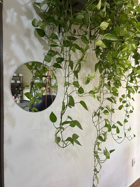 Casa no centro de Caxambu com 2.840 m² de terreno: 50ª foto da galeria de imagens do imóvel