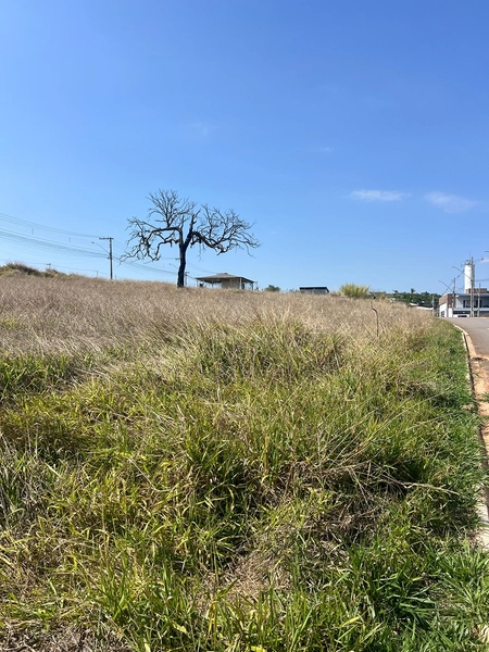 Lote comercial com 1.000 m² próximo a Cooperativa Minas Sul: 11ª foto da galeria de imagens do imóvel