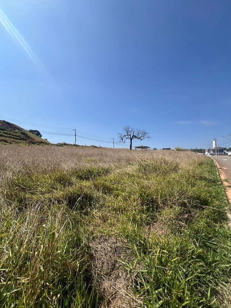 Lote comercial com 1.000 m² próximo a Cooperativa Minas Sul: 10ª foto da galeria de imagens do imóvel