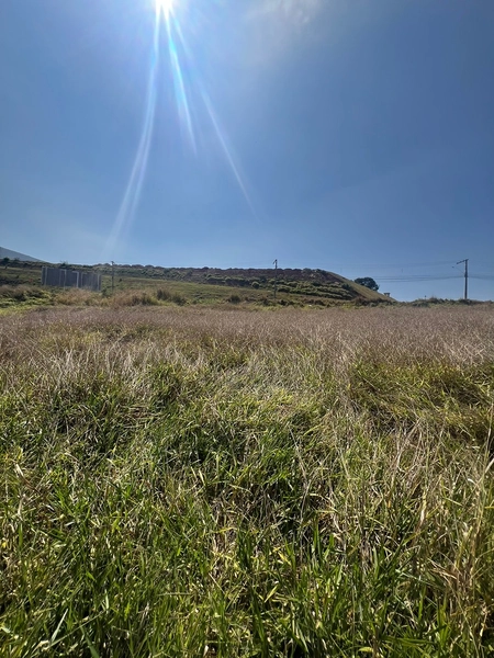 Lote comercial com 1.000 m² próximo a Cooperativa Minas Sul: 9ª foto da galeria de imagens do imóvel