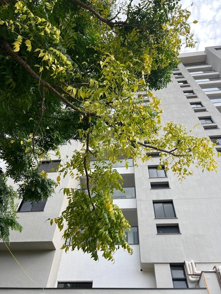 Apartamento com vista para o Shopping: 4ª foto da galeria de imagens do imóvel