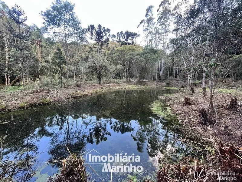 null: 2ª foto da galeria de imagens do imóvel