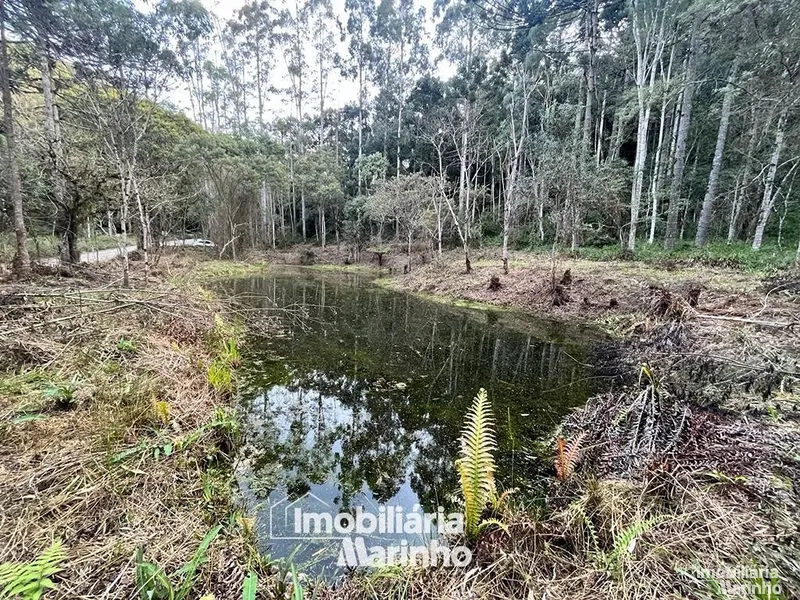 null: 5ª foto da galeria de imagens do imóvel