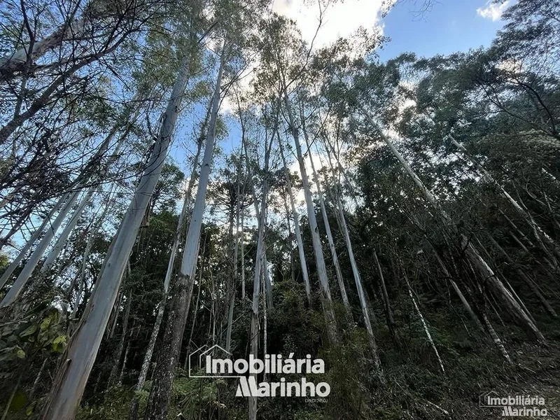 null: 12ª foto da galeria de imagens do imóvel