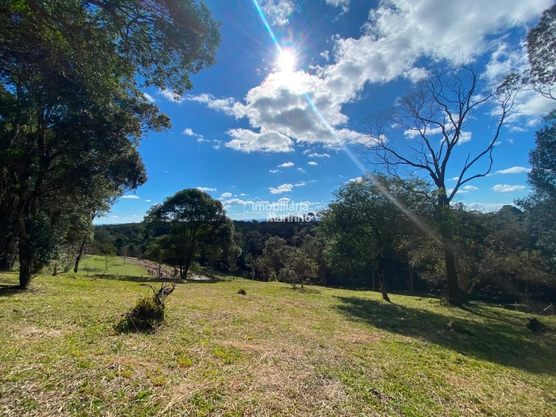 Excelente Área para Chácara no Rio Vermelho, Campo Alegre!!: 20ª foto da galeria de imagens do imóvel