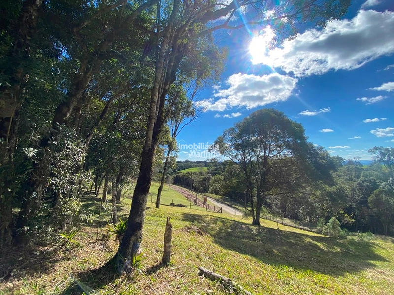 Excelente Área para Chácara no Rio Vermelho, Campo Alegre!!: 5ª foto da galeria de imagens do imóvel
