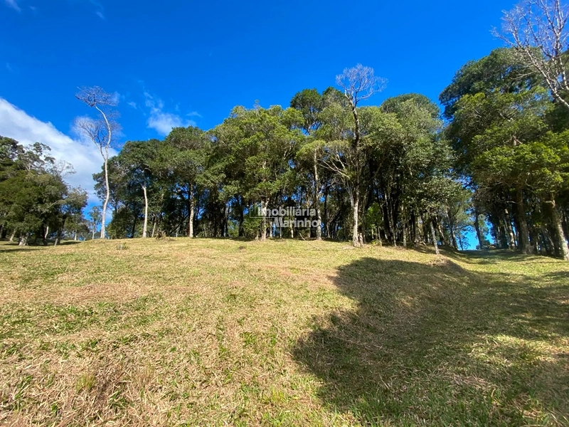 Excelente Área para Chácara no Rio Vermelho, Campo Alegre!!: 21ª foto da galeria de imagens do imóvel