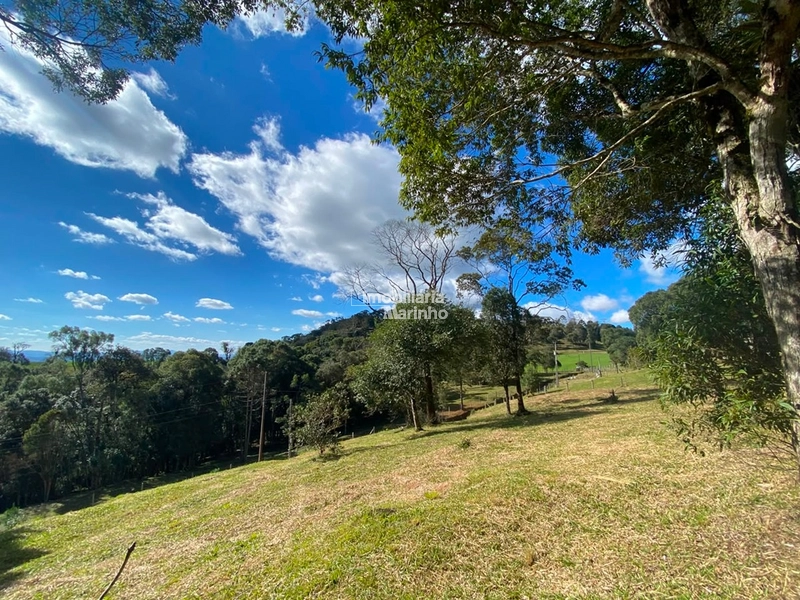Excelente Área para Chácara no Rio Vermelho, Campo Alegre!!: 2ª foto da galeria de imagens do imóvel