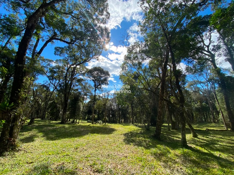Excelente Área para Chácara no Rio Vermelho, Campo Alegre!!: 1ª foto da galeria de imagens do imóvel