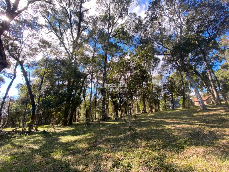 Excelente Área para Chácara no Rio Vermelho, Campo Alegre!!: 13ª foto da galeria de imagens do imóvel