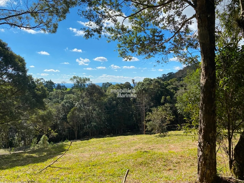 Excelente Área para Chácara no Rio Vermelho, Campo Alegre!!: 4ª foto da galeria de imagens do imóvel