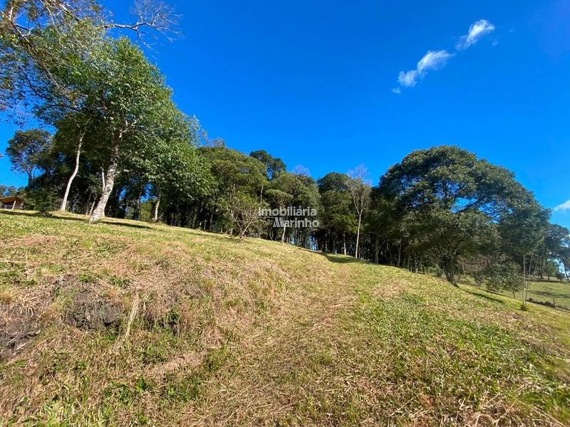 Excelente Área para Chácara no Rio Vermelho, Campo Alegre!!: 24ª foto da galeria de imagens do imóvel